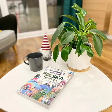 Comfortable Apart, Old Town, Free Parking, Hanging Bed, Wi-fi, Lift, Aircon,self Check-in 24h, Stare Miasto, Winda, Nowy Budynek, Garaz 0 Zl, Klima * Wrocław